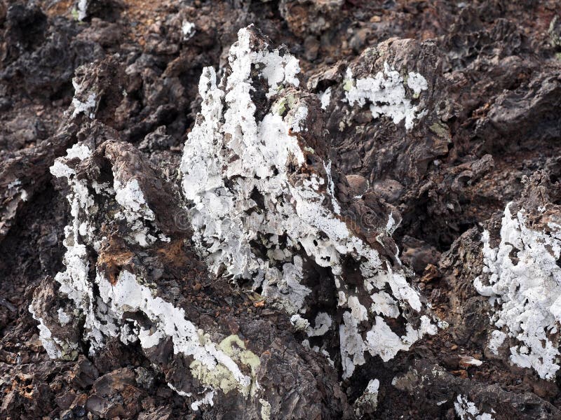 Faszerująca lawa na wyspie Islote Tintoreras upamiętnia moonland, Galapagos, Ekwador zdjęcie royalty free Faszerująca lawa na wyspie Islote Tintoreras upamiętnia moonland, Galapagos, Ekwador zdjęcie royalty free
