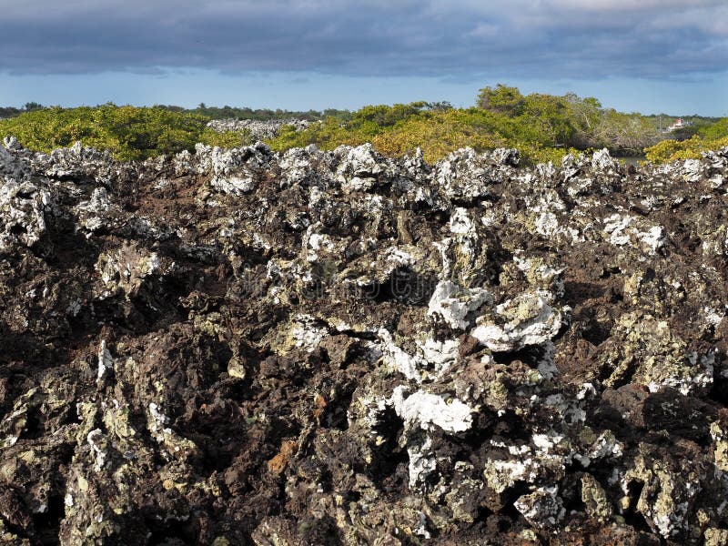Faszerująca lawa na wyspie Islote Tintoreras upamiętnia moonland, Galapagos, Ekwador obrazy royalty free Faszerująca lawa na wyspie Islote Tintoreras upamiętnia moonland, Galapagos, Ekwador obrazy royalty free