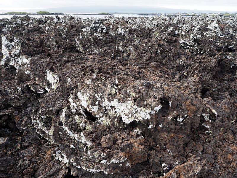 Faszerująca lawa na wyspie Islote Tintoreras upamiętnia moonland, Galapagos, Ekwador fotografia royalty free Faszerująca lawa na wyspie Islote Tintoreras upamiętnia moonland, Galapagos, Ekwador fotografia royalty free