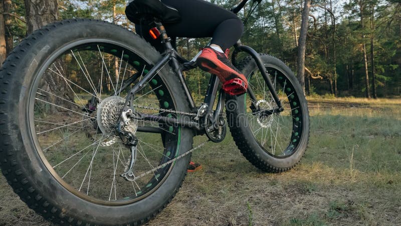 Fat bike also called fatbike or fat-tire bike in summer riding in the forest.