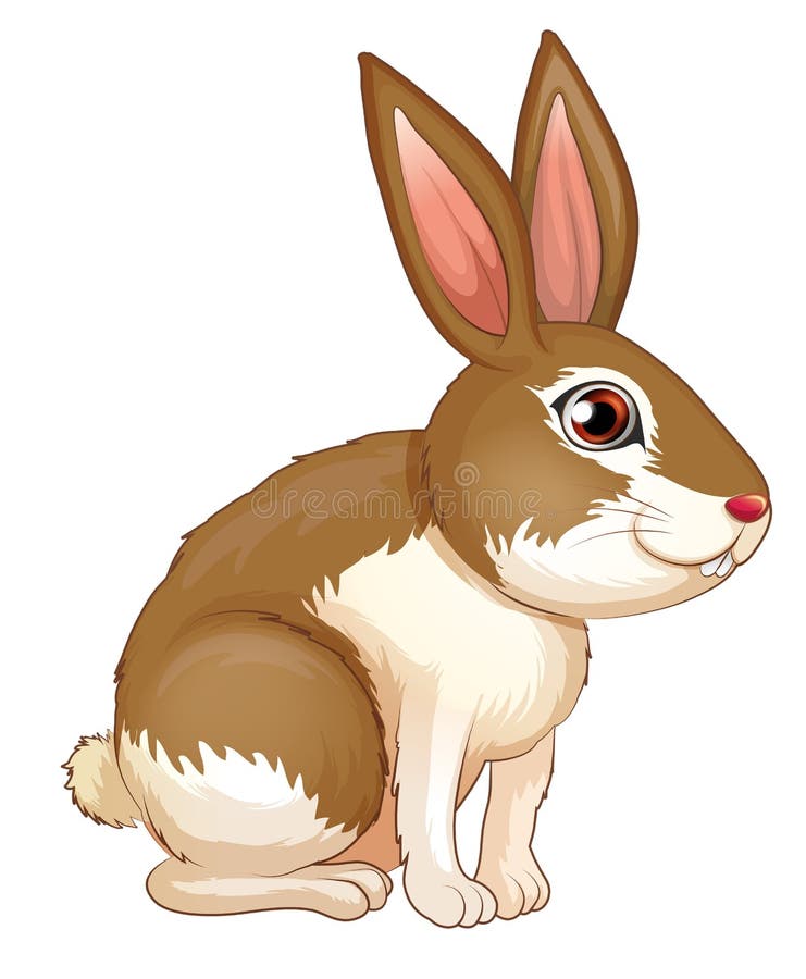 Brown Rabbit Stock Illustrations 6 906 Brown Rabbit Stock Illustrations Vectors Clipart Dreamstime