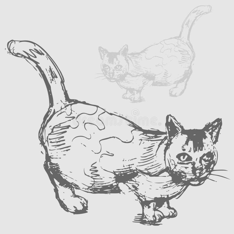 Fat Cat Drawing stock vector. Illustration of woodprint - 22318813