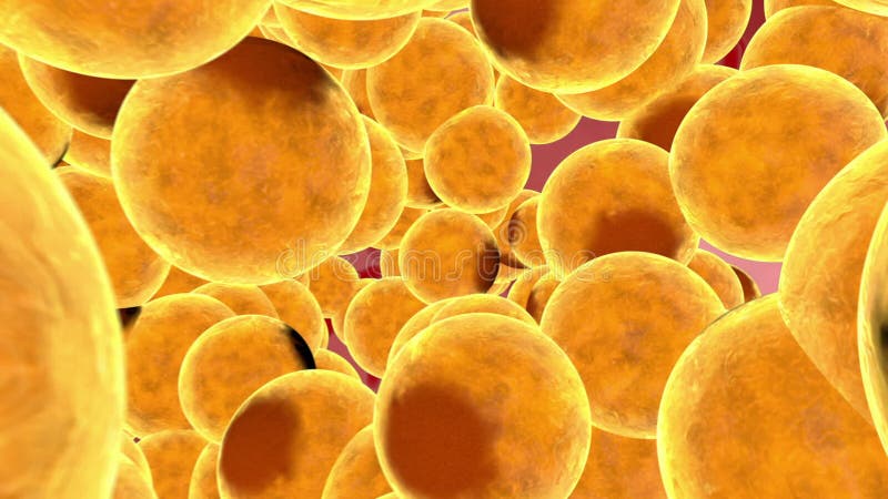 Fat cells. concept for health risk for obesity or dieting and nutrition problems. Alpha matte include vector illustration