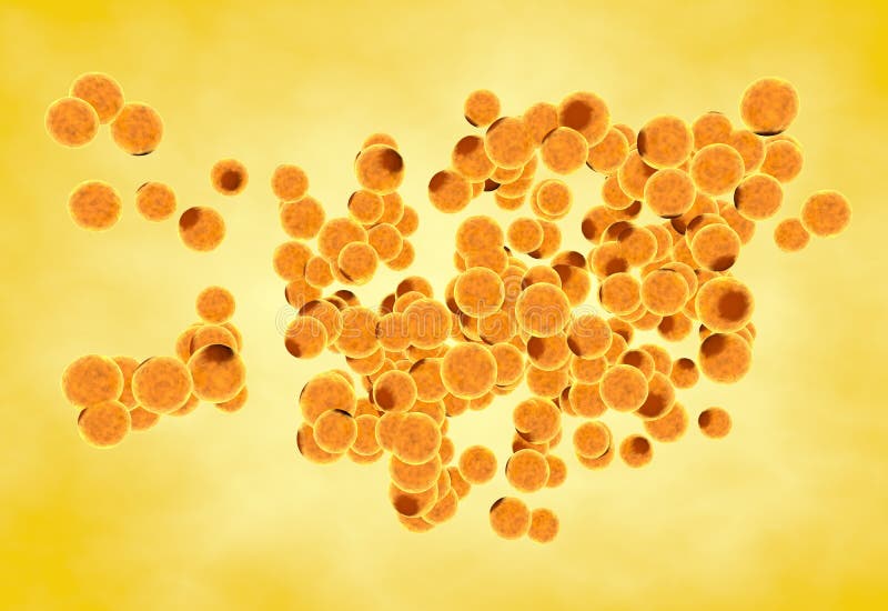 Fat cells. Inside human organism stock illustration