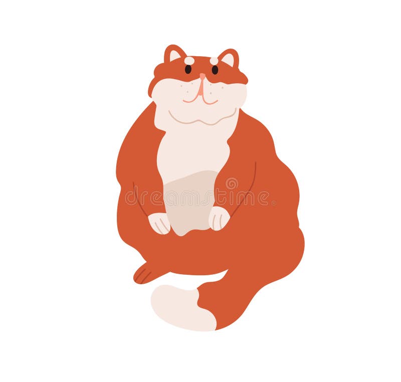Fat chubby cat sitting, asking for smth. Cute obese fuzzy feline animal. Funny furry chunky fatty kitty with obesity vector illustration