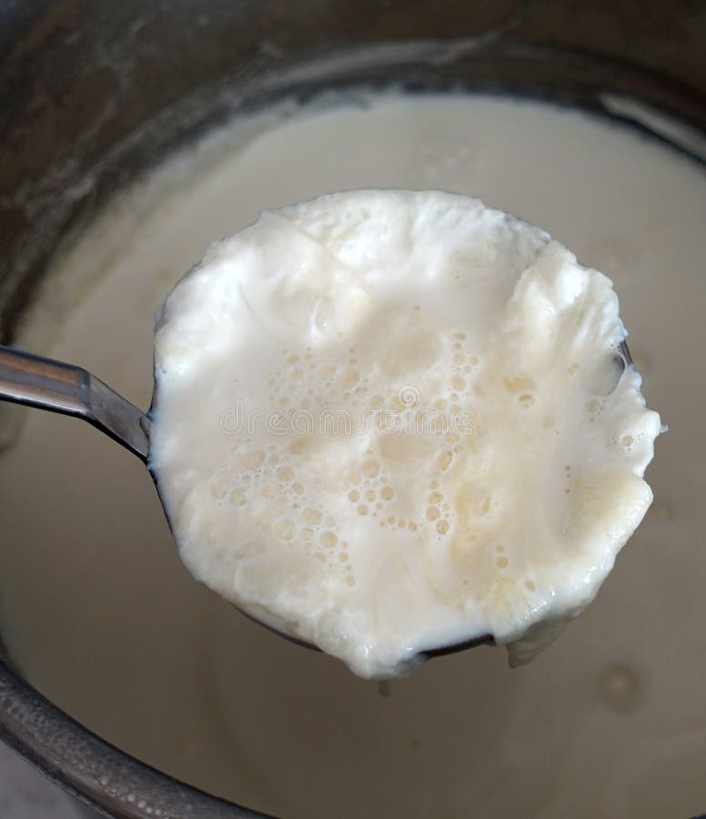 Fat Milk Cream on Cooked Milk, Which is Formed on Natural Cow S Milk