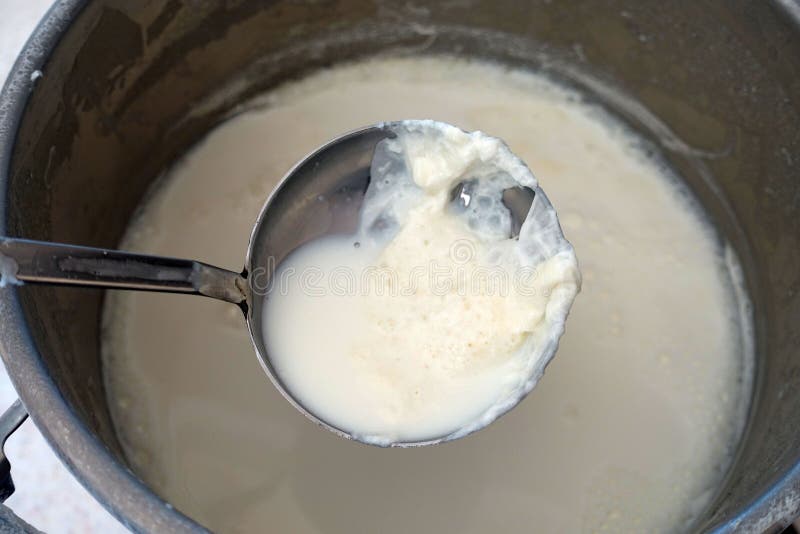Fat Milk Cream on Cooked Milk, Which is Formed on Natural Cow S Milk