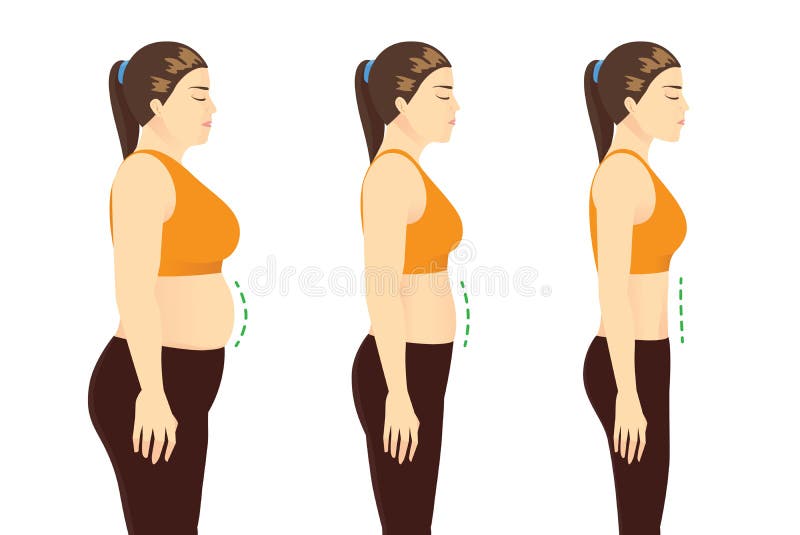 Belly Stock Illustrations – 46,439 Belly Stock Illustrations, Vectors ...