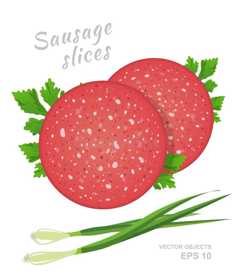 Slices of salami sausage with fresh parsley and green onion isolated on white background. Meat delicatessen product. Vector gastronomic illustration in cartoon style. Slices of salami sausage with fresh parsley and green onion isolated on white background. Meat delicatessen product. Vector gastronomic illustration in cartoon style