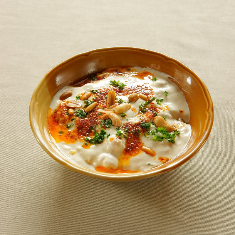 Hummus beiruti stock photo. Image of east, eastern, food 14191032