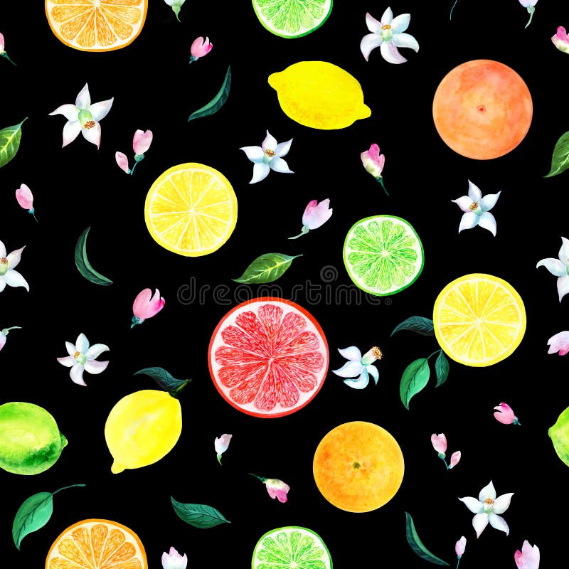 Fattar den citrusa modellen för vattenfärgen som blommar apelsinen, limefrukt, grapefrukten, citron med blommor, den blom- sömlös stock illustrationer Fattar den citrusa modellen för vattenfärgen som blommar apelsinen, limefrukt, grapefrukten, citron med blommor, den blom- sömlös stock illustrationer