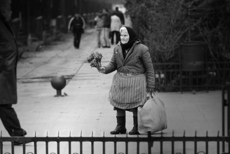 Fattig gammal kvinna som säljer torkade blommor på gatan arkivfoton Fattig gammal kvinna som säljer torkade blommor på gatan arkivfoton