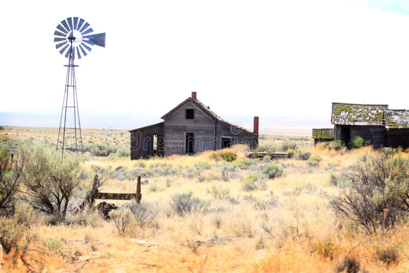 An abandoned desolate frontier homestead house, windmill, fence posts and out buildings in sage brush and prairie grasses. Shallow depth of field. An abandoned desolate frontier homestead house, windmill, fence posts and out buildings in sage brush and prairie grasses. Shallow depth of field.