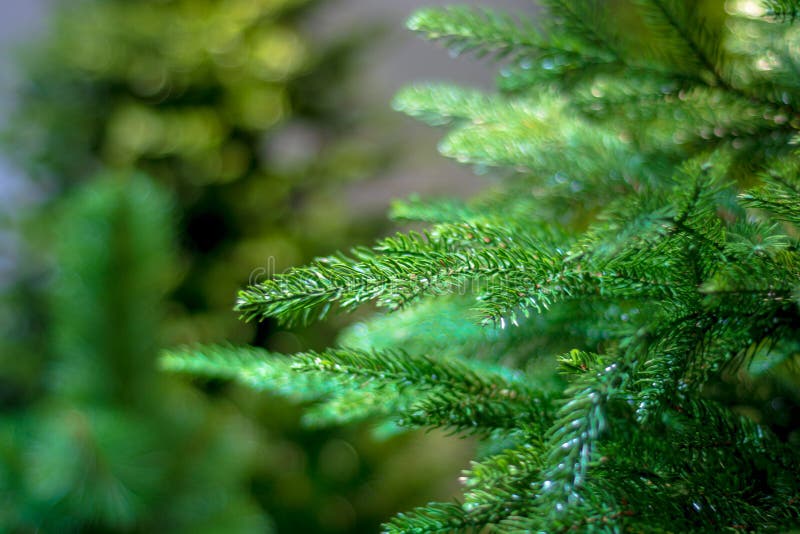 Faux Christmas Tree. Green Fluffy Christmas Tree Branches Stock Image