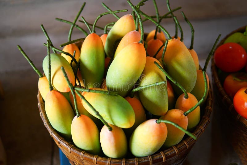 Faux fruit coloré images libres de droits