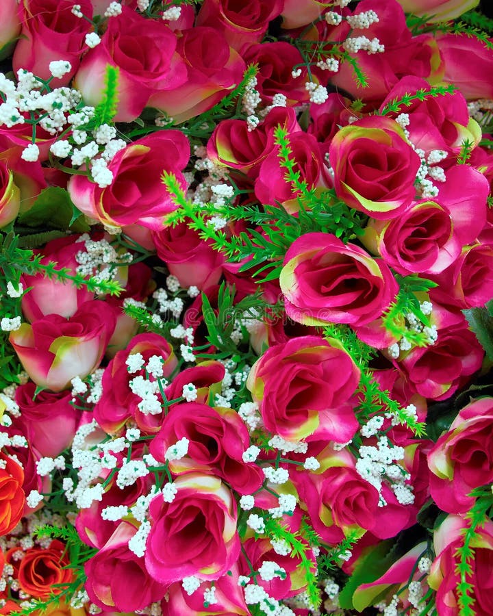 Faux plan rapproché coloré de roses photographie stock libre de droits