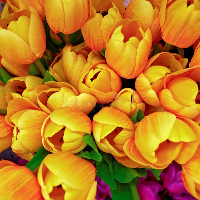 Tulipes artificielles colorées en gros plan images stock