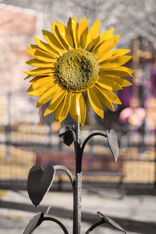 Tournesols artificiels et colorés à l'aspect métallique photographie stock libre de droits