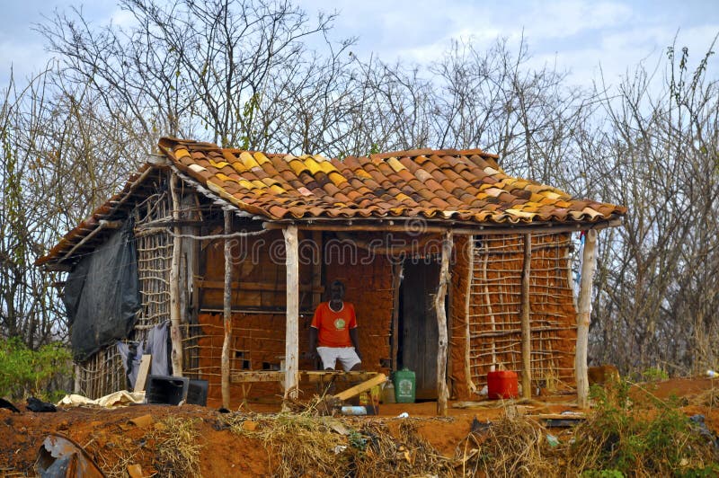 A classic and well shown exemplary of the construction technology of the wattle and daub (or wattle-and-daub), now considered ecologically modern, despite thousands of years known. Wattle and daub (or wattle-and-daub) is a building material used for making walls, in which a woven lattice of wooden strips called wattle is daubed with a sticky material usually made of some combination of wet soil, clay, sand, animal dung and straw. Wattle and daub has been used for at least 6,000 years, and is still an important construction material in many parts of the world. Many historic buildings include wattle and daub construction, and the technique is becoming popular again in more developed areas as a low-impact sustainable building technique. It is also strongly related to Chagas disease a tropical parasitic disease caused by the flagellate protozoan Trypanosoma cruzi. Chagas disease, also known as American trypanosomiasis, is a potentially life-threatening illness caused by the protozoan parasite, Trypanosoma cruzi (T. cruzi). It is found mainly in Latin America, where it is mostly transmitted to humans by the faeces of triatomine bugs, known as 'kissing bugs' , among other names, depending on the geographical area. A classic and well shown exemplary of the construction technology of the wattle and daub (or wattle-and-daub), now considered ecologically modern, despite thousands of years known. Wattle and daub (or wattle-and-daub) is a building material used for making walls, in which a woven lattice of wooden strips called wattle is daubed with a sticky material usually made of some combination of wet soil, clay, sand, animal dung and straw. Wattle and daub has been used for at least 6,000 years, and is still an important construction material in many parts of the world. Many historic buildings include wattle and daub construction, and the technique is becoming popular again in more developed areas as a low-impact sustainable building technique. It is also strongly related to Chagas disease a tropical parasitic disease caused by the flagellate protozoan Trypanosoma cruzi. Chagas disease, also known as American trypanosomiasis, is a potentially life-threatening illness caused by the protozoan parasite, Trypanosoma cruzi (T. cruzi). It is found mainly in Latin America, where it is mostly transmitted to humans by the faeces of triatomine bugs, known as 'kissing bugs' , among other names, depending on the geographical area.