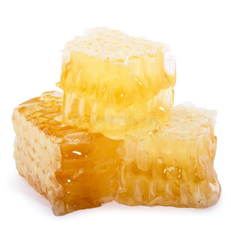 Honeycomb slices isolated on white background. Honeycomb slices isolated on white background