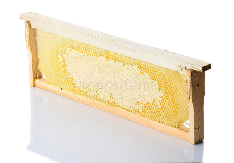 Favo De Mel Das Abelhas Com Mel Em Um Quadro De Madeira Em Um Backgroun