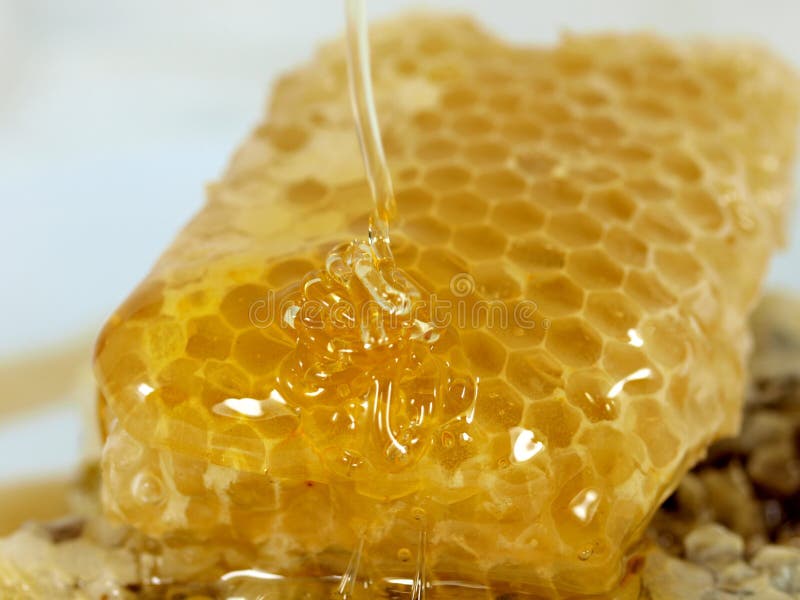 Favo de mel e mel imagem de stock. Imagem de sobremesa 12257899