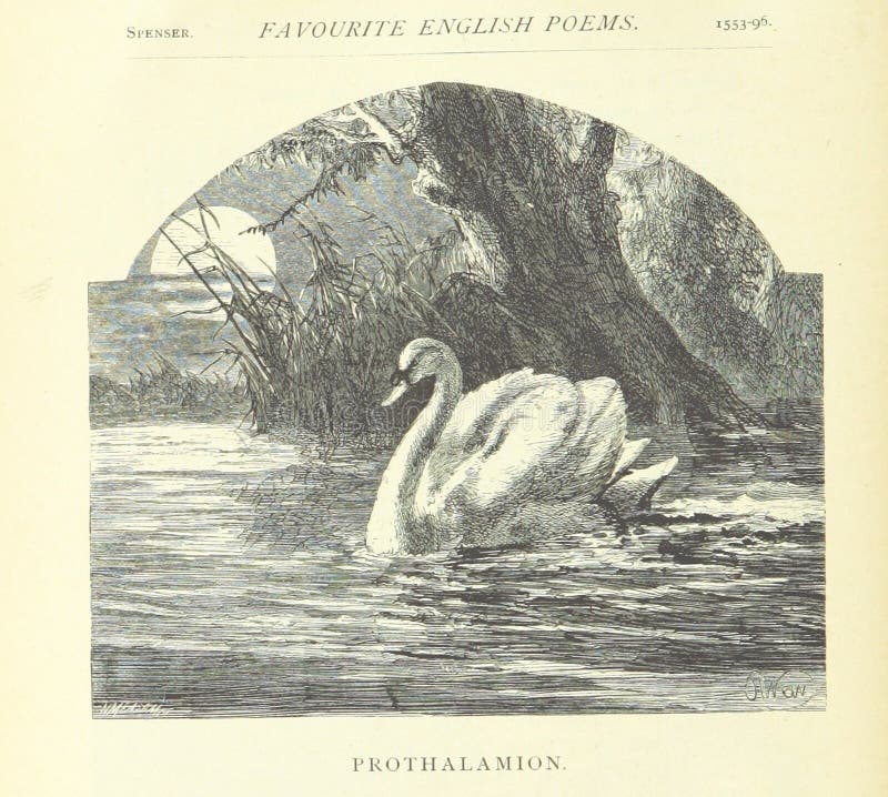 British Library Digitised Image From Page 62 Of 