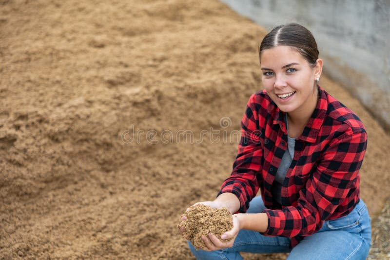 Fazendeiro com um monte de cascas de soja em suas mãos