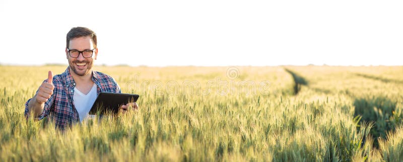 Fazendeiro ou agrônomo novo feliz de sorriso que usa uma tabuleta em um campo de trigo Mostrando os polegares-acima e olhando dir
