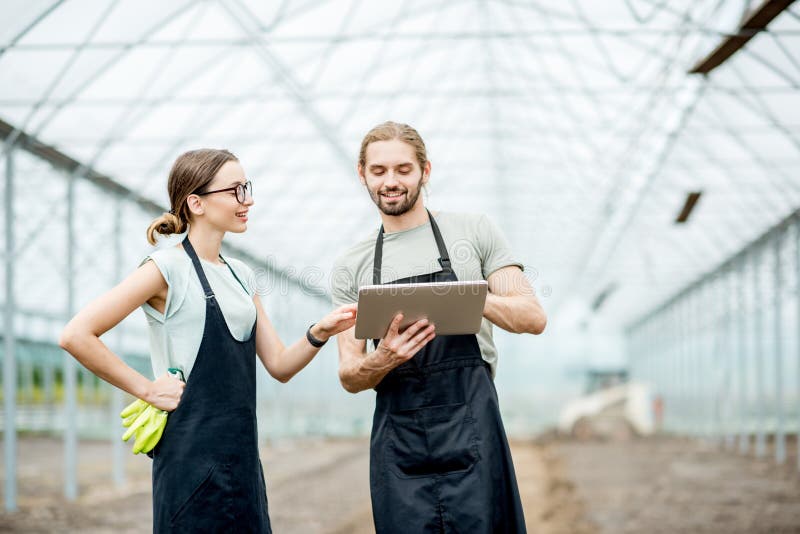 Couple of farmers in uniform working with digital tablet standing in the greenhouse with cultivated soil ready for planting. Couple of farmers in uniform working with digital tablet standing in the greenhouse with cultivated soil ready for planting