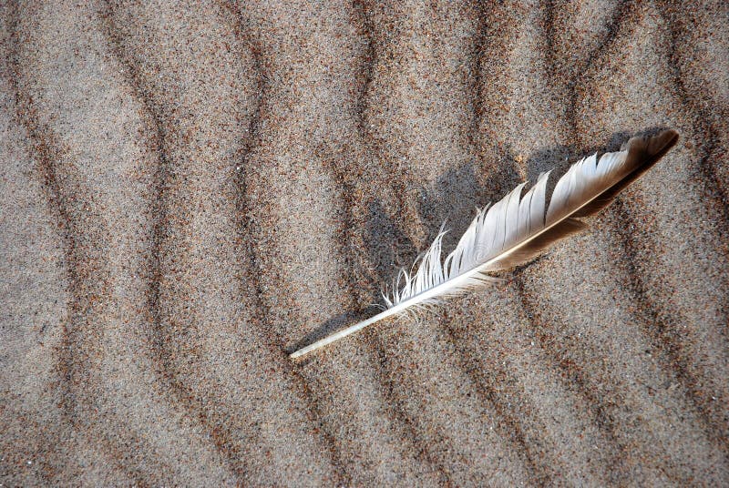 Feather