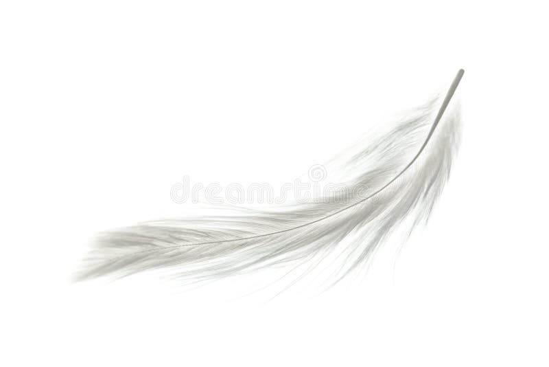Feather