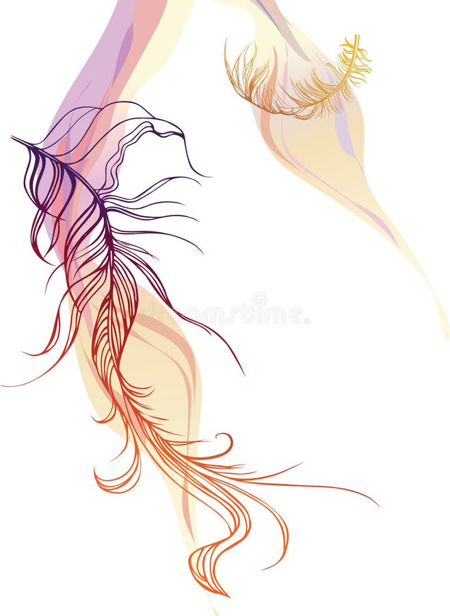 Download Feather stock vector. Illustration of animal, fantasy - 6971128