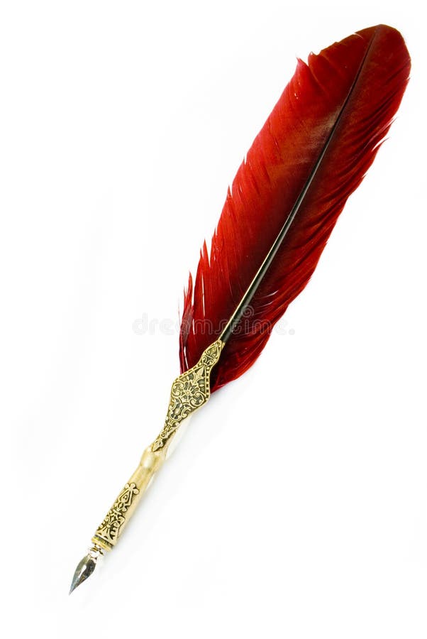 Feather stock photos