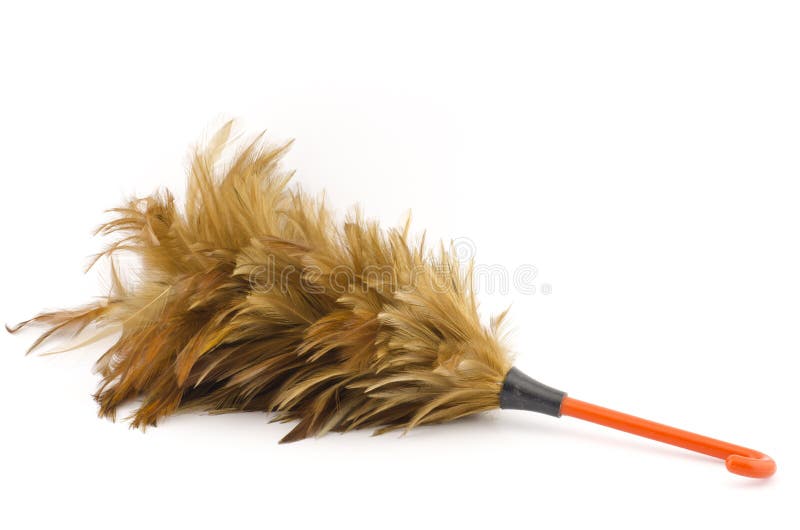 Feather broom