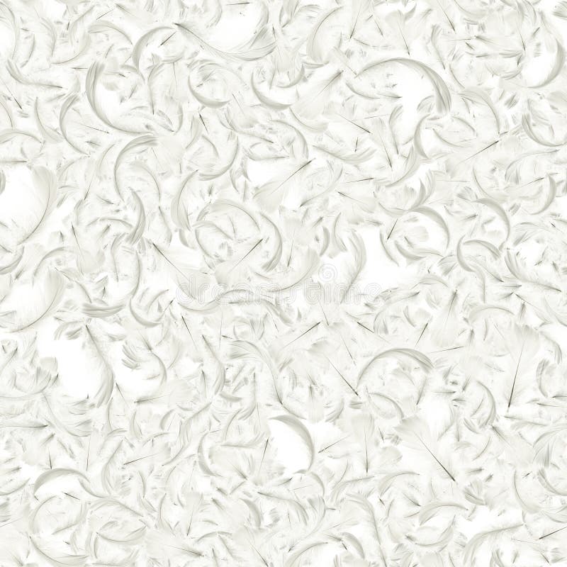 Feather close up. Nature abstract bird feather texture isolated on white background for seamless pattern wallpaper