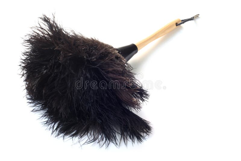 Feather Duster stock photo. Image of item, white, duster - 161242742