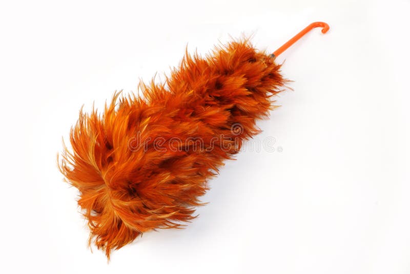 620 Feather Duster Isolated White Stock Photos - Free & Royalty-Free
