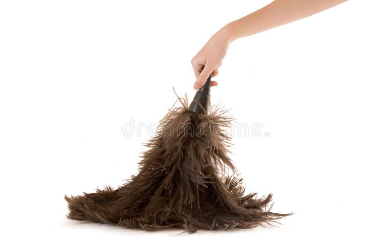 A hand using a feather duster, against white. Clean feathers stock images, royalty-free photos and pictures