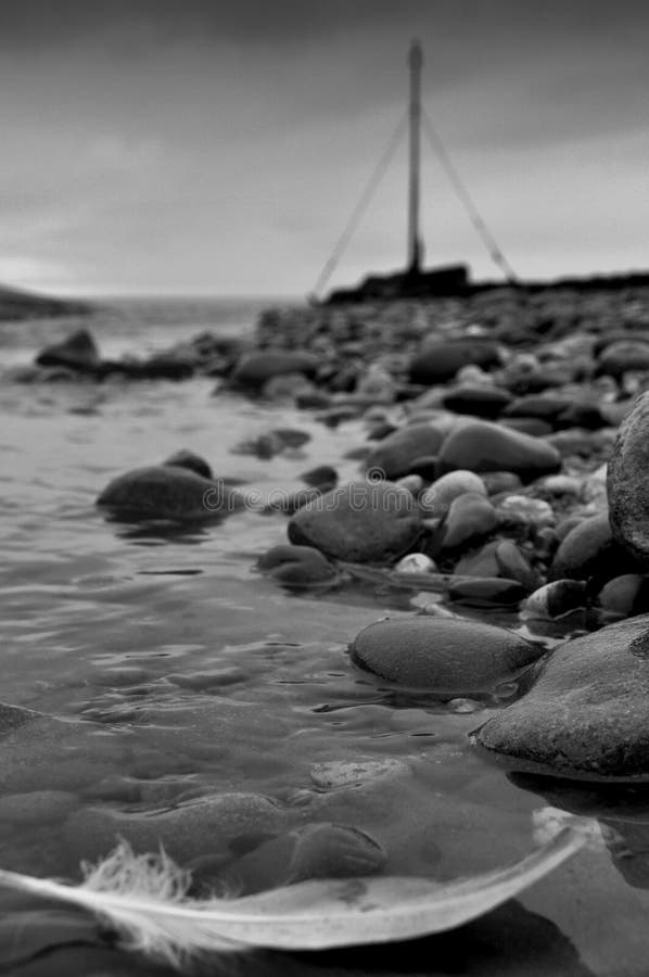 Feather floats away to sea