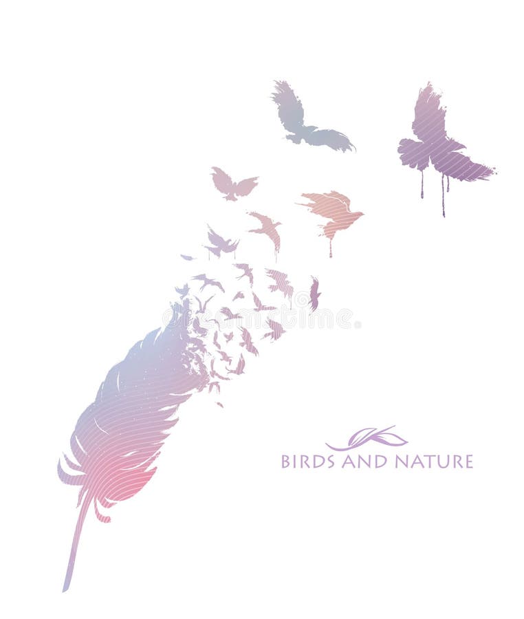 Feather with Flying Flock of Birds Stock Vector Illustration of