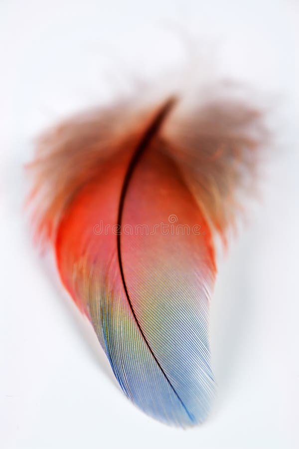 Feather II