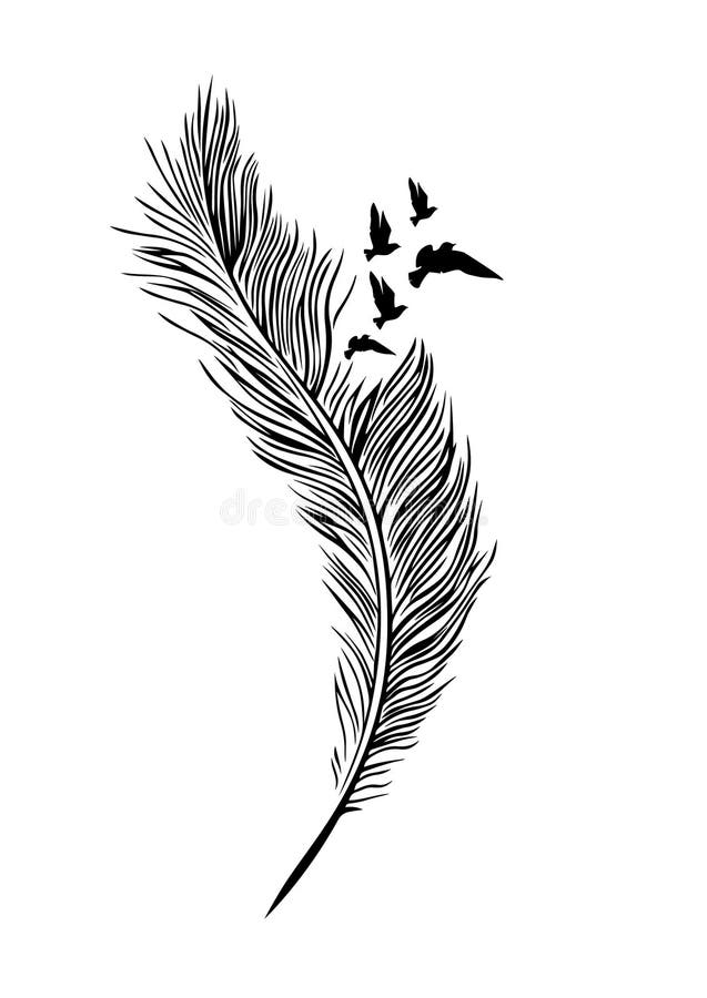 Feather Bird Temporary Tattoos – TEMPOTATS
