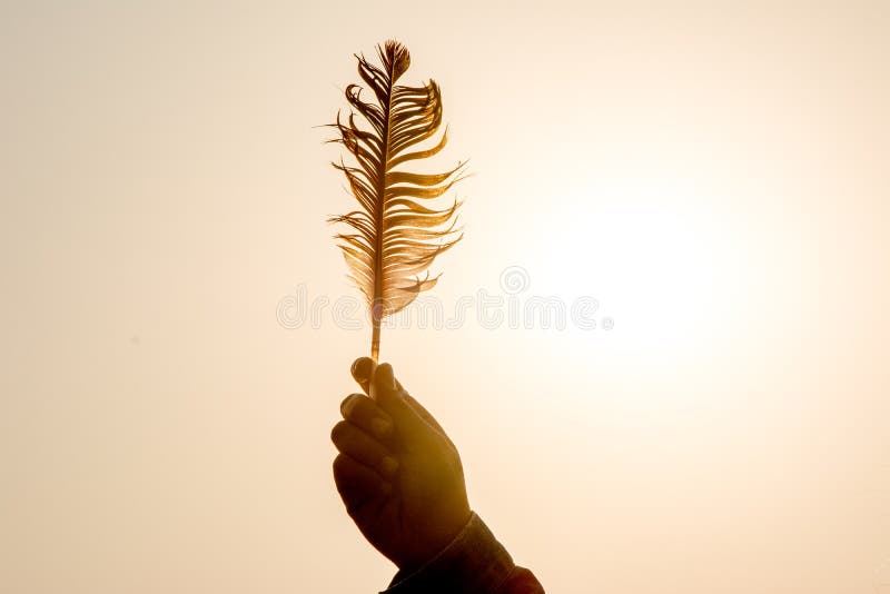 Feather of love stock image. Image of feather, love 107372079