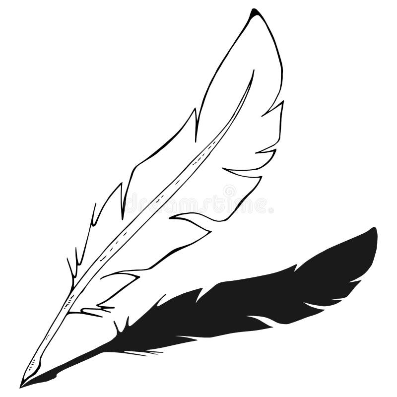 Feather Pen Icon. Vector Illustration of a Feather for Calligraphy. Hand  Drawn Feather Pen Logo Stock Vector - Illustration of sign, quill: 170005199