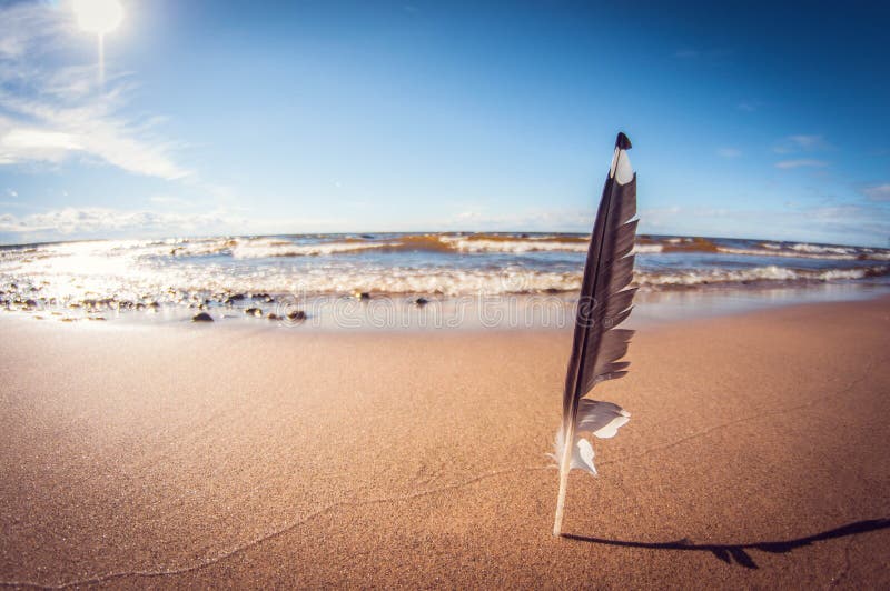 Feather in the sand, a symbol of truth and lightness, the element of wind and air