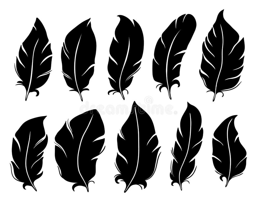 Quill Wing Stock Illustrations – 15,299 Quill Wing Stock Illustrations