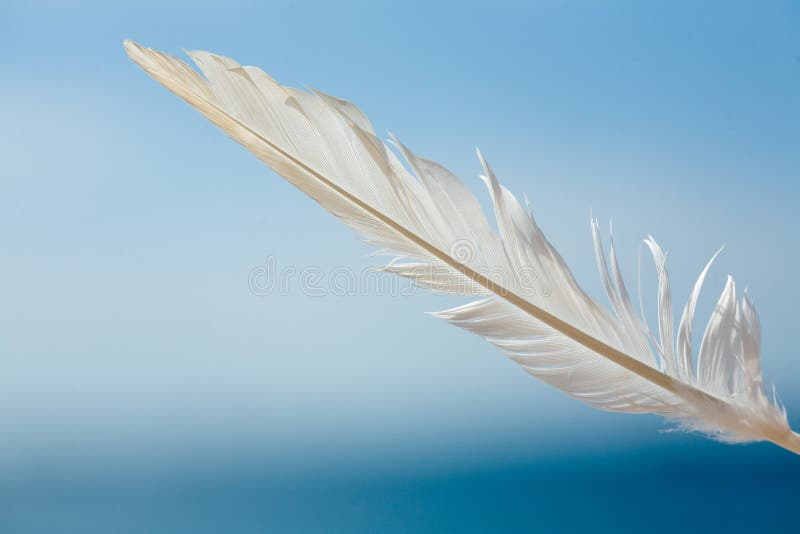 Feather in the sky stock image. Image of feather, close 27412337