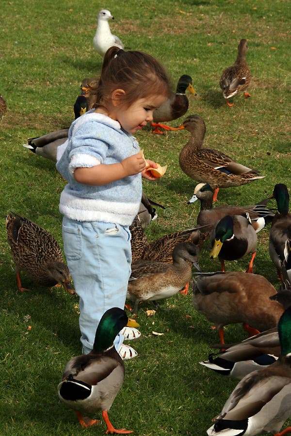 Feathered Friends