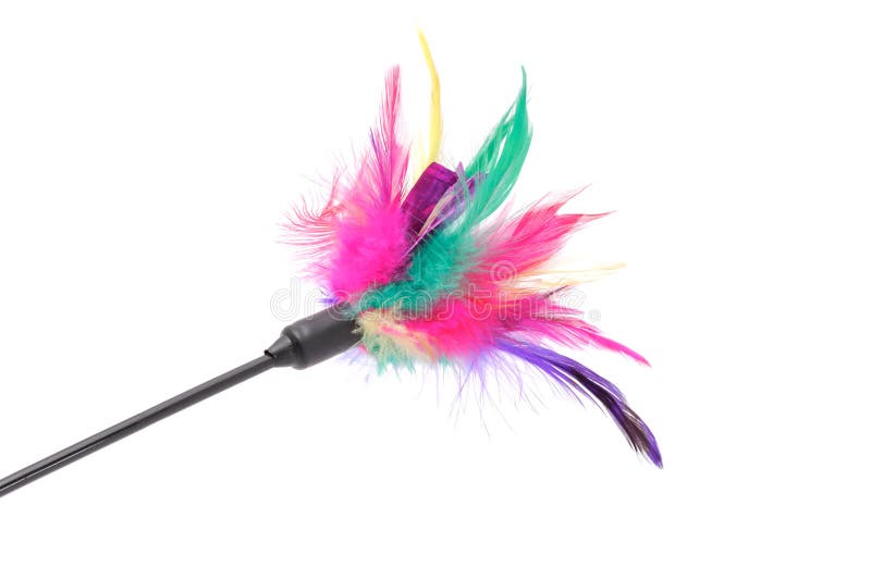 Feathered Pole Cat Toy